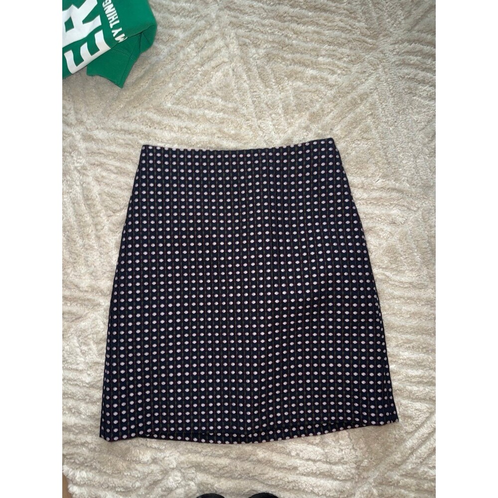 Ann Taylor Pencil Skirt